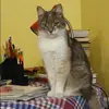 Отзыв от Олеся Богданова